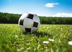 赵丽娜分享,足球公益经,历于中国网,开云体育,开云体育官网,开云体育app,开云体育app下载